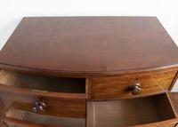 Early 19th Century Mahogany Bow Front Chest of Drawers (5 of 6) Early 19th Century Mahogany Bow Front Chest of Drawers (5 of 6)