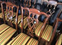 Set of Ten Georgian Style Mahogany Dining Chairs (9 of 13) Set of Ten Georgian Style Mahogany Dining Chairs (9 of 13)