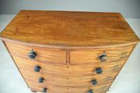 Antique Mahogany Bow Front Chest of Drawers (9 of 9) Antique Mahogany Bow Front Chest of Drawers (9 of 9)