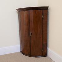 Georgian Mahogany Bow Fronted Hanging Corner Cupboard (3 of 3)