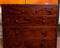 Cuban Mahogany Chest of Drawers 19th Century (3 of 14) Cuban Mahogany Chest of Drawers 19th Century (3 of 14)