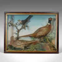 Antique Taxidermy Scene, Birds, Pheasant, Blackbird, Display Case, Victorian (5 of 10) Antique Taxidermy Scene, Birds, Pheasant, Blackbird, Display Case, Victorian (5 of 10)