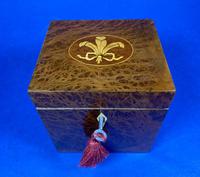 Late Victorian Burr Yew Single Tea Caddy (29 of 32) Late Victorian Burr Yew Single Tea Caddy (29 of 32)