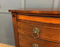 Regency Inlaid Mahogany Chest of Drawers (6 of 18) Regency Inlaid Mahogany Chest of Drawers (6 of 18)