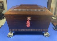 Regency Mahogany Sarcophagus Box (9 of 16) Regency Mahogany Sarcophagus Box (9 of 16)