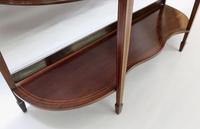 Edwardian Mahogany Glazed Display Cabinet (6 of 7) Edwardian Mahogany Glazed Display Cabinet (6 of 7)