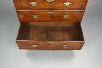 Superb Burr Walnut 18th Century Walnut Chest of Drawers (8 of 9) Superb Burr Walnut 18th Century Walnut Chest of Drawers (8 of 9)