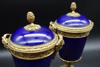 Good Pair of Late 19th Century Sèvres Type Porcelain Lidded Vases (7 of 8) Good Pair of Late 19th Century Sèvres Type Porcelain Lidded Vases (7 of 8)