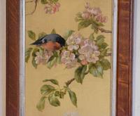 Pair of Oil Paintings of Finches in Blossom (7 of 12) Pair of Oil Paintings of Finches in Blossom (7 of 12)