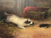 Pair of Victorian 19th Century Oil Paintings Terrier Dogs Ratting Signed J Langlois (2 of 35) Pair of Victorian 19th Century Oil Paintings Terrier Dogs Ratting Signed J Langlois (2 of 35)