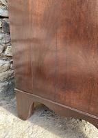 Large Regency Mahogany Bow Front Chest of Drawers (18 of 19) Large Regency Mahogany Bow Front Chest of Drawers (18 of 19)