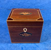 Georgian Single Mahogany Tea Caddy with Inlaid Shell (4 of 12) Georgian Single Mahogany Tea Caddy with Inlaid Shell (4 of 12)