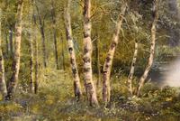 Oil Painting Pair by F. Walters "Spring on the Severn, Ringwood" "Autumn, Ringwood" (9 of 10) Oil Painting Pair by F. Walters "Spring on the Severn, Ringwood" "Autumn, Ringwood" (9 of 10)