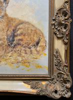 Exceptional 'pride Of Lion Cubs' Large Wildlife Oil Painting By 'silvia Duran' (10 of 12) Exceptional 'pride Of Lion Cubs' Large Wildlife Oil Painting By 'silvia Duran' (10 of 12)