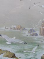 Watercolour Seagull seascape List Artist Noel Hubert Hopking (6 of 10) Watercolour Seagull seascape List Artist Noel Hubert Hopking (6 of 10)