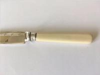 A Good Silver Mounted Cake Knife (4 of 4) A Good Silver Mounted Cake Knife (4 of 4)