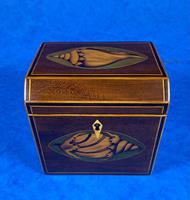 Georgian Mahogany Shell Inlaid Single Tea Caddy (2 of 15) Georgian Mahogany Shell Inlaid Single Tea Caddy (2 of 15)