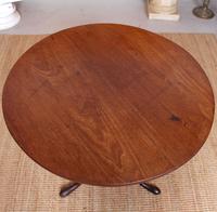 Georgian Tripod Table Tilt Top Mahogany Folding (6 of 9) Georgian Tripod Table Tilt Top Mahogany Folding (6 of 9)
