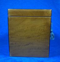 George III Satinwood Twin Tea Caddy with Prince of Wales Inlay (3 of 15) George III Satinwood Twin Tea Caddy with Prince of Wales Inlay (3 of 15)