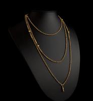 Antique Victorian Longuard Chain, Muff Chain Necklace (5 of 10) Antique Victorian Longuard Chain, Muff Chain Necklace (5 of 10)