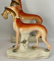 Superb Trio of Staffordshire Whippets c.1850 (7 of 13) Superb Trio of Staffordshire Whippets c.1850 (7 of 13)