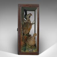 Antique Taxidermy Scene, Birds, Pheasant, Blackbird, Display Case, Victorian (2 of 10) Antique Taxidermy Scene, Birds, Pheasant, Blackbird, Display Case, Victorian (2 of 10)