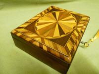 Specimen Wood Trinket Box. C1880 (5 of 12) Specimen Wood Trinket Box. C1880 (5 of 12)