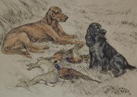 Hunting Dogs Field Spaniels G Vernon Stokes Signed Limited Edition (2 of 6) Hunting Dogs Field Spaniels G Vernon Stokes Signed Limited Edition (2 of 6)
