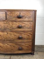 19th Century Mahogany Bow Front Chest of Drawers (10 of 12) 19th Century Mahogany Bow Front Chest of Drawers (10 of 12)