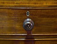 Regency Period Mahogany Bow-fronted Chest (5 of 7) Regency Period Mahogany Bow-fronted Chest (5 of 7)