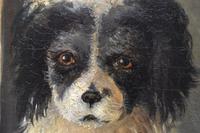 Christian Olavius Zeuthen Spaniel Danish School 1863 (5 of 7) Christian Olavius Zeuthen Spaniel Danish School 1863 (5 of 7)