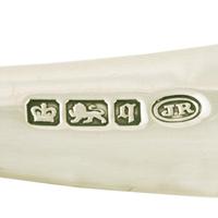 Edwardian Sterling Silver Soup Ladle (7 of 7) Edwardian Sterling Silver Soup Ladle (7 of 7)