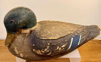edc5cb44314e4c46a18ed95fb221f2d1_1787340721621.jpeg