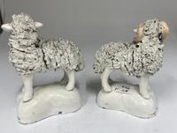 Antique Pair of Staffordshire Pottery Sheep c.1830 (3 of 7) Antique Pair of Staffordshire Pottery Sheep c.1830 (3 of 7)