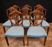 Set 8 Hepplewhite Dining Chairs Mahogany (4 of 7) Set 8 Hepplewhite Dining Chairs Mahogany (4 of 7)