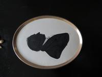 Pair of Victorian Silhouettes in Ebonised Frames (2 of 6) Pair of Victorian Silhouettes in Ebonised Frames (2 of 6)