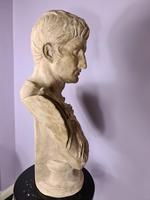 Large Plaster Bust of Augustus (4 of 7) Large Plaster Bust of Augustus (4 of 7)