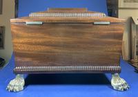 Regency Mahogany Sarcophagus Box (6 of 16) Regency Mahogany Sarcophagus Box (6 of 16)