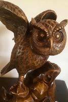 Large Hand Carved Wooden Owl (3 of 8) Large Hand Carved Wooden Owl (3 of 8)