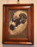 Sheep Portrait Oil Painting by H.Windred (7 of 7) Sheep Portrait Oil Painting by H.Windred (7 of 7)