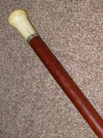 Antique Faux Ivory Pommel Topped Rosewood Walking Stick / Cane (11 of 13) Antique Faux Ivory Pommel Topped Rosewood Walking Stick / Cane (11 of 13)