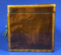 18th Century Mahogany Twin Tea Caddy with Shell Inlay (15 of 17) 18th Century Mahogany Twin Tea Caddy with Shell Inlay (15 of 17)