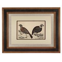 Hand Coloured 'Ground Bird One' Lithograph. Goldsmith 1875 (4 of 4) Hand Coloured 'Ground Bird One' Lithograph. Goldsmith 1875 (4 of 4)
