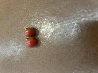 18ct Coral Clip on Earrings