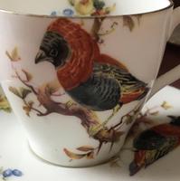 Royal Doulton Part Coffee Service Decorated with Exotic Birds & Flowers (2 of 4) Royal Doulton Part Coffee Service Decorated with Exotic Birds & Flowers (2 of 4)