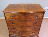 Antique Burr Walnut Shaped Front Chest of Drawers (5 of 7) Antique Burr Walnut Shaped Front Chest of Drawers (5 of 7)