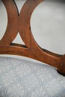 Set of 6 + 1 Continental Dining Chairs (8 of 12) Set of 6 + 1 Continental Dining Chairs (8 of 12)