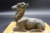 Well Modelled Early 20th Century Continental Bronze Model of a Recumbent Goat (2 of 5) Well Modelled Early 20th Century Continental Bronze Model of a Recumbent Goat (2 of 5)