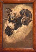 Sheep Portrait Oil Painting by H.Windred (3 of 7) Sheep Portrait Oil Painting by H.Windred (3 of 7)