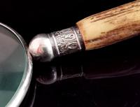 Victorian Silver Magnifying Glass, Antler Handle (6 of 13) Victorian Silver Magnifying Glass, Antler Handle (6 of 13)